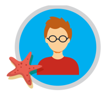 KiteDreams - Trip Single